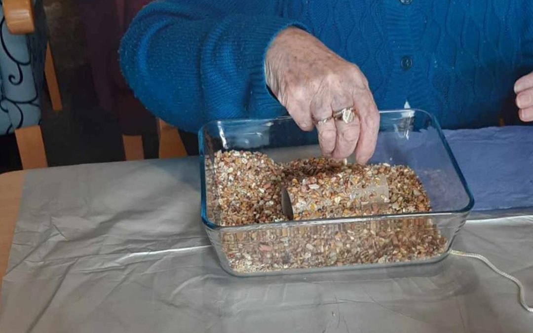 Maldon Day Care Bird Feeders