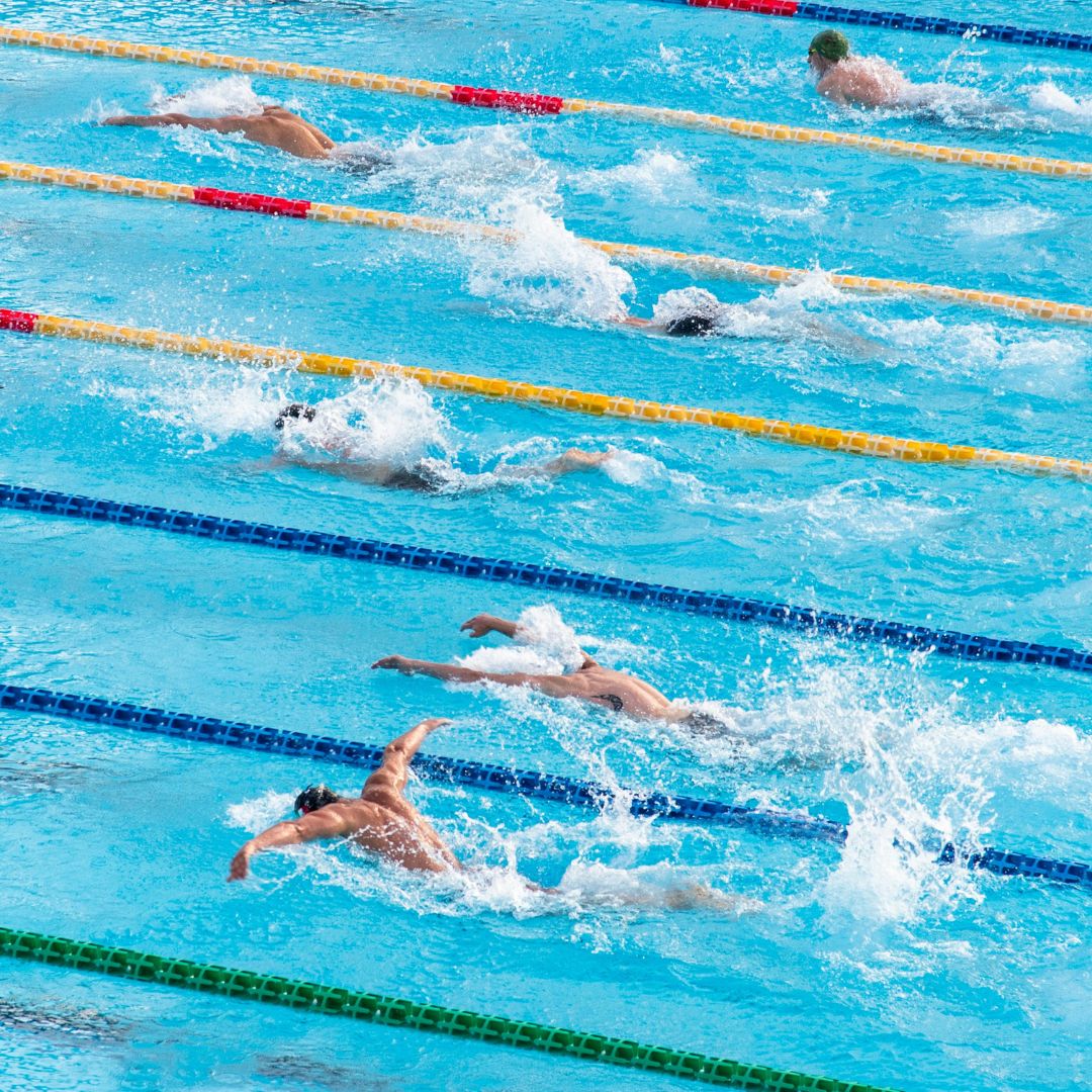 6 people swimming in a laned pool